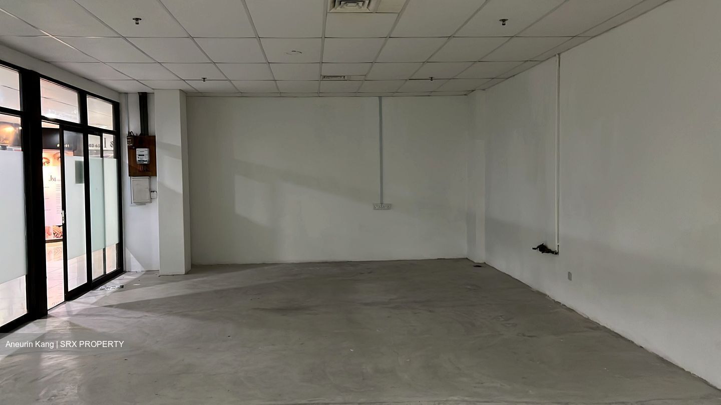 Orchard Plaza (D9), Retail #500927241